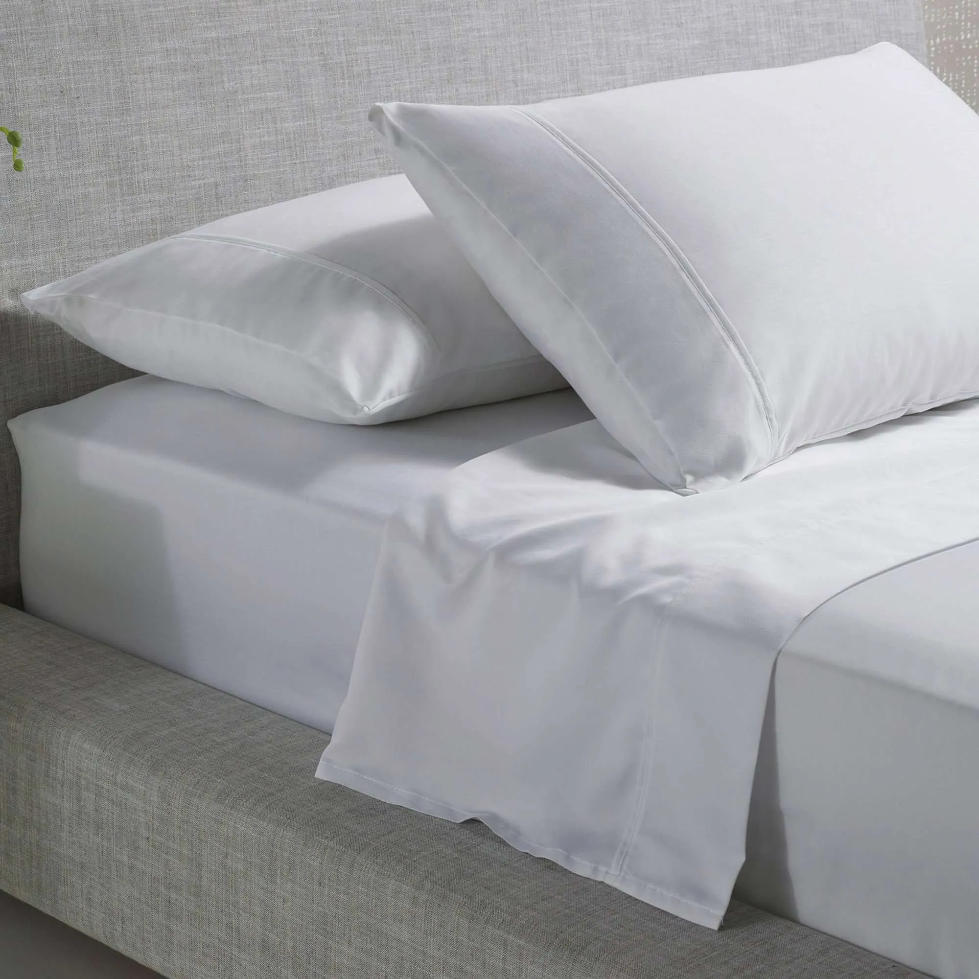 Accessorize 1000TC Cotton Rich Sheet Set - White